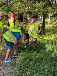 Ścieżka kulturowa związana z poznawaniem historii i kultury miejscowości Ciosmy z żurawiną w tle