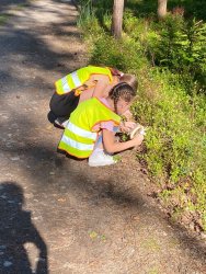 Ścieżka kulturowa związana z poznawaniem historii i kultury miejscowości Ciosmy z żurawiną w tle