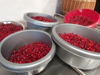 Warsztaty z żurawiną w tle za nami