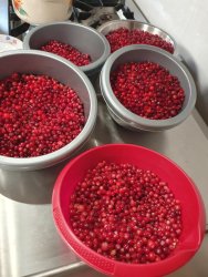 Warsztaty z żurawiną w tle za nami