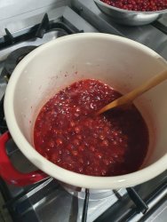 Warsztaty z żurawiną w tle za nami