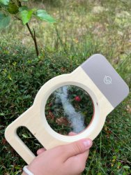 Oprowadzenie po "Ścieżce przyrodniczej związanej ze zbiorem żurawiny" za nami. 