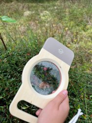 Oprowadzenie po "Ścieżce przyrodniczej związanej ze zbiorem żurawiny" za nami. 