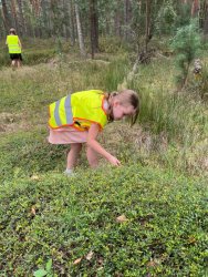 Oprowadzenie po "Ścieżce przyrodniczej związanej ze zbiorem żurawiny" za nami. 