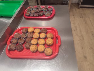 Kolejne warsztaty i oprowadzenia mimo marnej aury uważamy mimo wszystko za udane