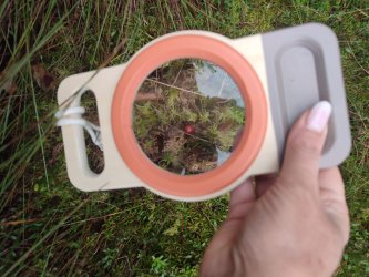 Kolejne warsztaty i oprowadzenia mimo marnej aury uważamy mimo wszystko za udane