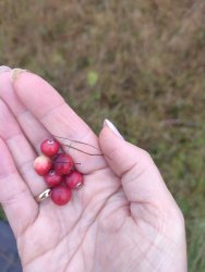 Kolejne warsztaty i oprowadzenia mimo marnej aury uważamy mimo wszystko za udane