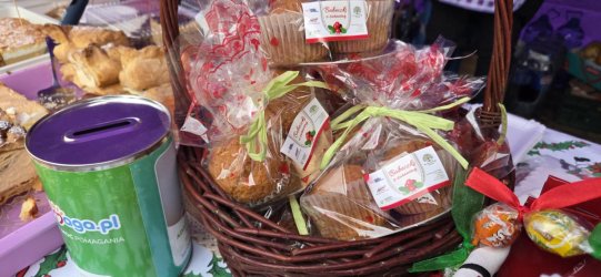 Członkowie Stowarzyszenia DĄB na Jarmarku Bożonarodzeniowym w Biłgoraju