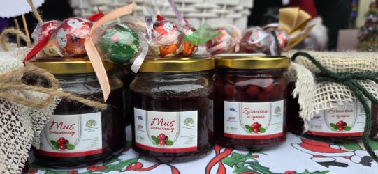 Członkowie Stowarzyszenia DĄB na Jarmarku Bożonarodzeniowym w Biłgoraju